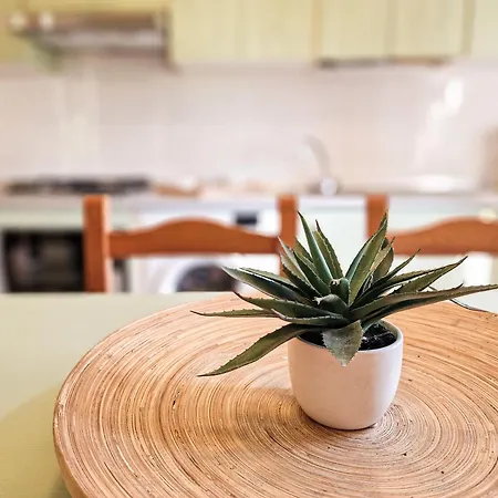 شقة Casa Lucia Marina Di Campo Pila (Livorno)